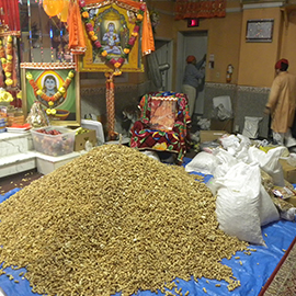 Sidh Shakti Bhawan Gallery